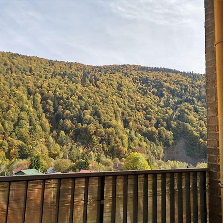 Amazing Brownie By Miro Apartment Sinaia Exterior photo