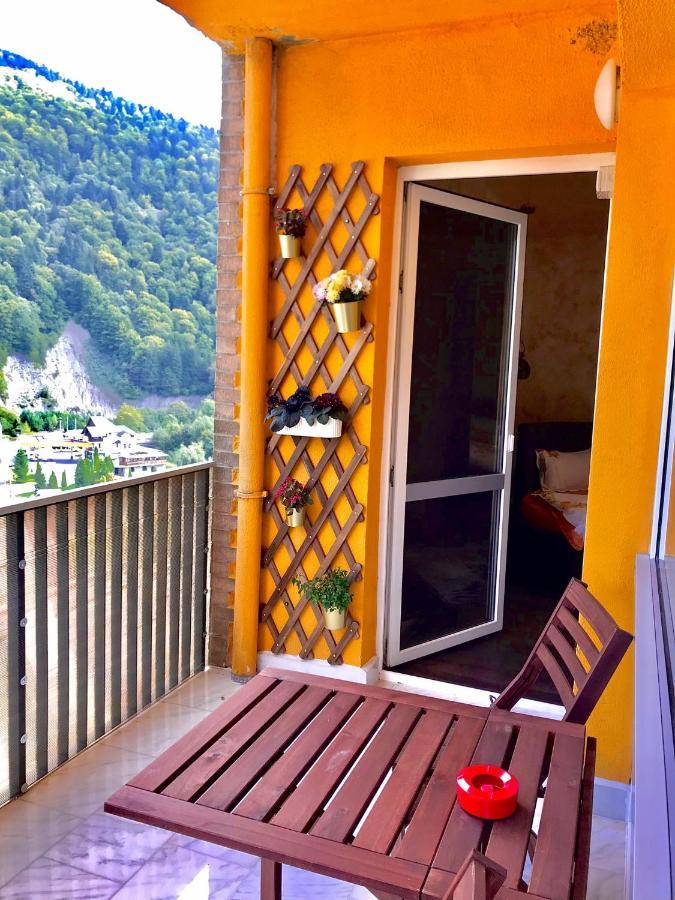 Amazing Brownie By Miro Apartment Sinaia Exterior photo