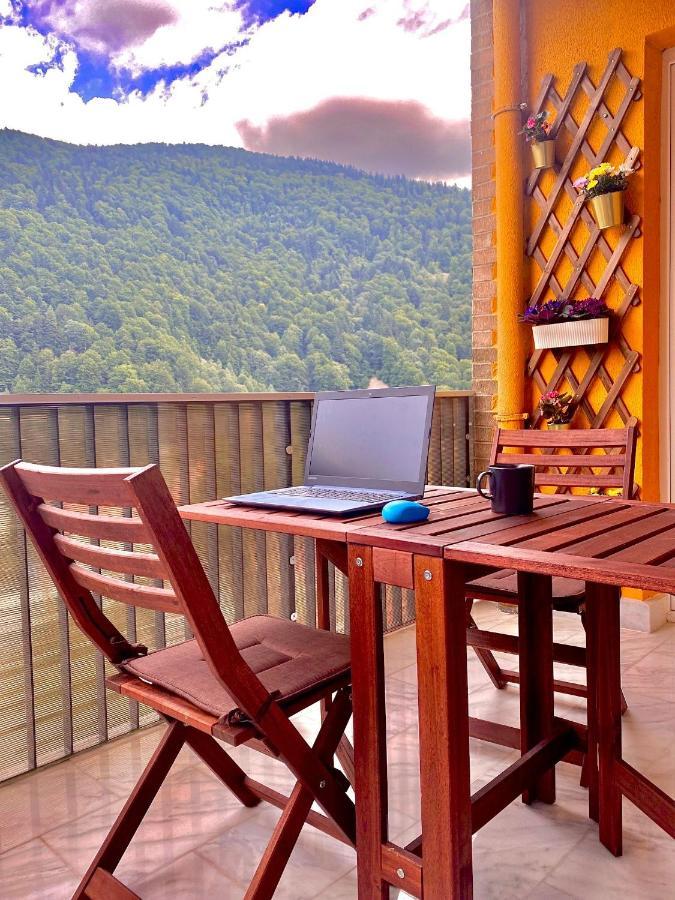 Amazing Brownie By Miro Apartment Sinaia Exterior photo
