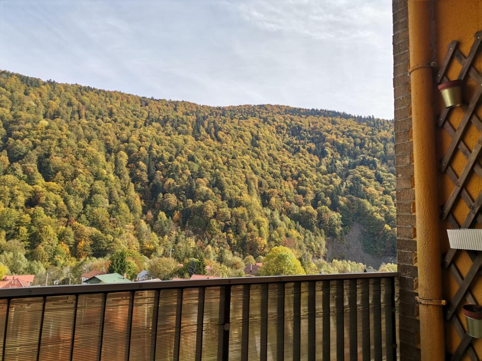 Amazing Brownie By Miro Apartment Sinaia Exterior photo